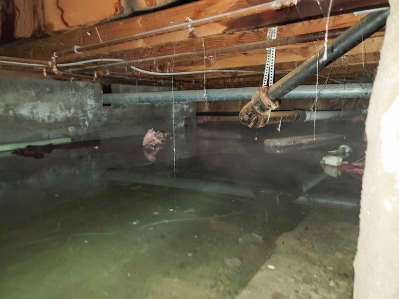 Basement Water Cleanup in Phoenix, AZ