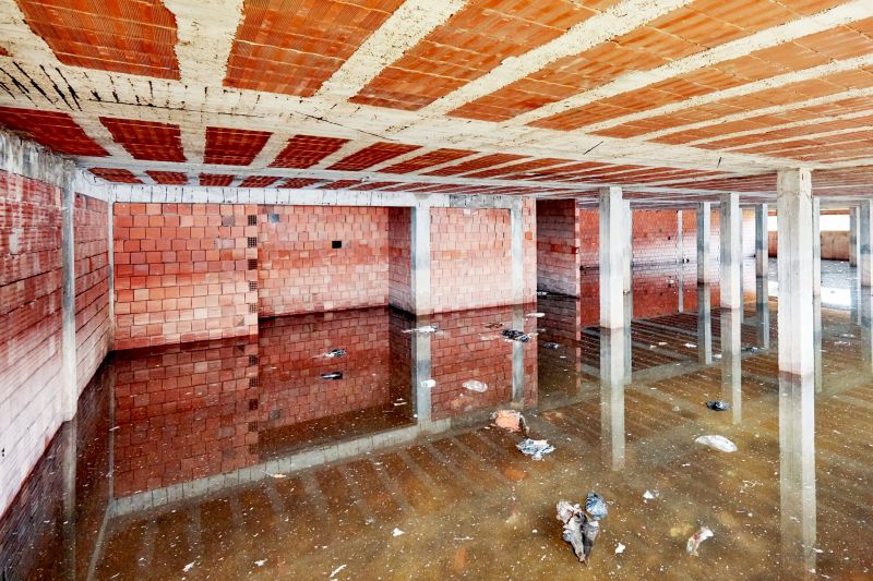 Basement Water Removal in Gilbert, AZ